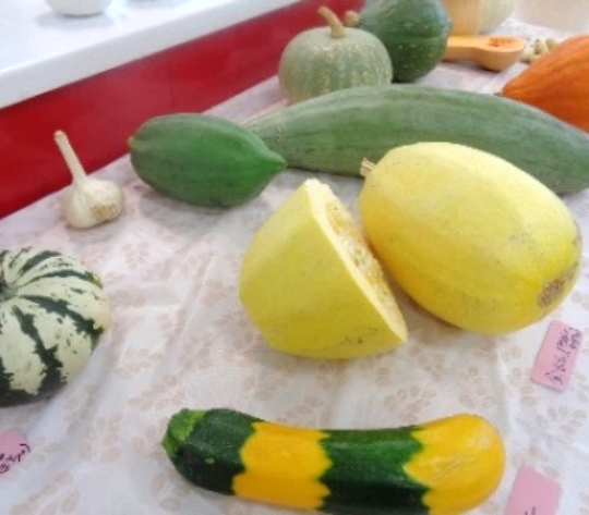 サロンレポート