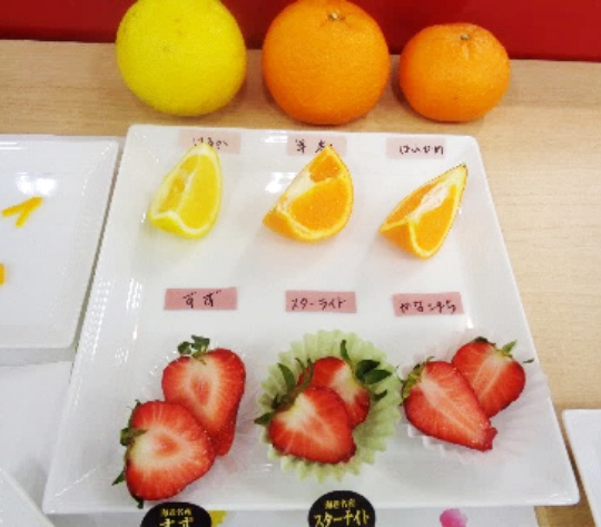 サロンレポート